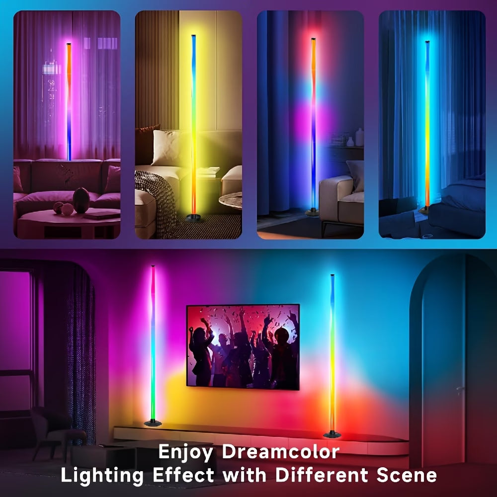 2pc RGB Floor Lamp